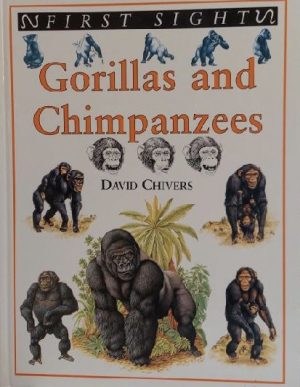 Gorillas and chimpanzees (First sight) Chivers, David John
