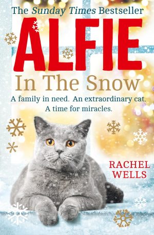 Alfie in the Snow (Alfie series) (Book 5) [Paperback] Wells, Rachel