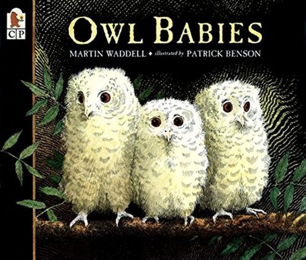 Owl Babies [Paperback] Waddell, Martin and Benson, Patrick