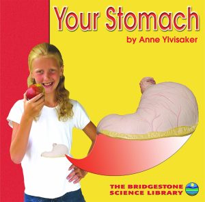 Your Stomach (Bridgestone Science Library: Your Body) Ylvisaker, Anne