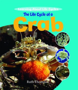The Life Cycle of a Crab (Learning About Life Cycles) [Library Binding] Thomson, Ruth