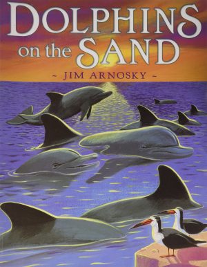 Dolphins on the Sand [Paperback] Jim Arnosky