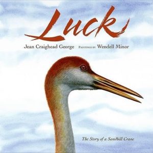 Luck (Outdoor Adventures) George, Jean Craighead and Minor, Wendell