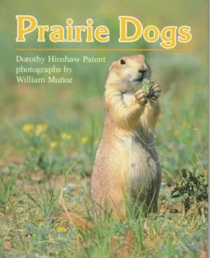 Prairie Dogs Patent, Dorothy Hinshaw and Munoz, William