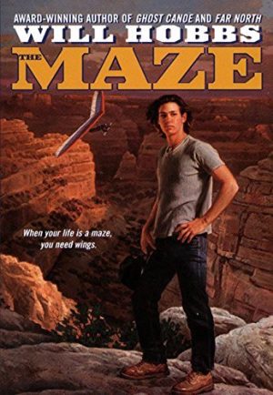 The Maze by Will Hobbs (1999-08-01) [Paperback]