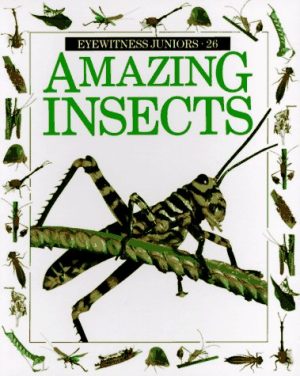 Amazing Insects (Eyewitness Junior) [Paperback] Mound, Laurence