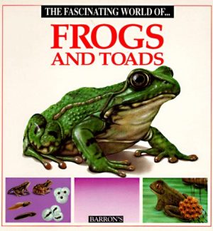 The Fascinating World of Frogs and Toads Julivert, Angels and Marcel Socias Studios