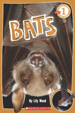 Scholastic Reader Level 1: Bats Wood, Lily