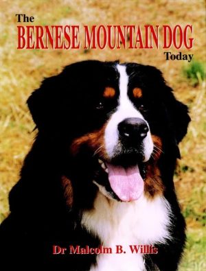 The Bernese Mountain Dog Today Willis, Malcolm B.