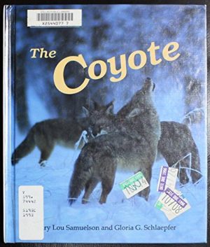 The Coyote (Dillon Remarkable Animals Book) Samuelson, Mary Lou and Schlaepfer, Gloria G.