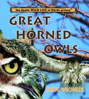 Great Horned Owls (Really Wild Life of Birds of Prey) Wechsler, Doug