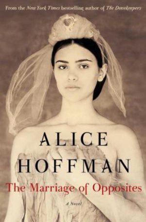 The Marriage of Opposites Hoffman, Alice