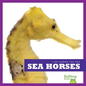 Sea Horses (Bullfrog Books: Life Under the Sea) [Library Binding] Cari Meister