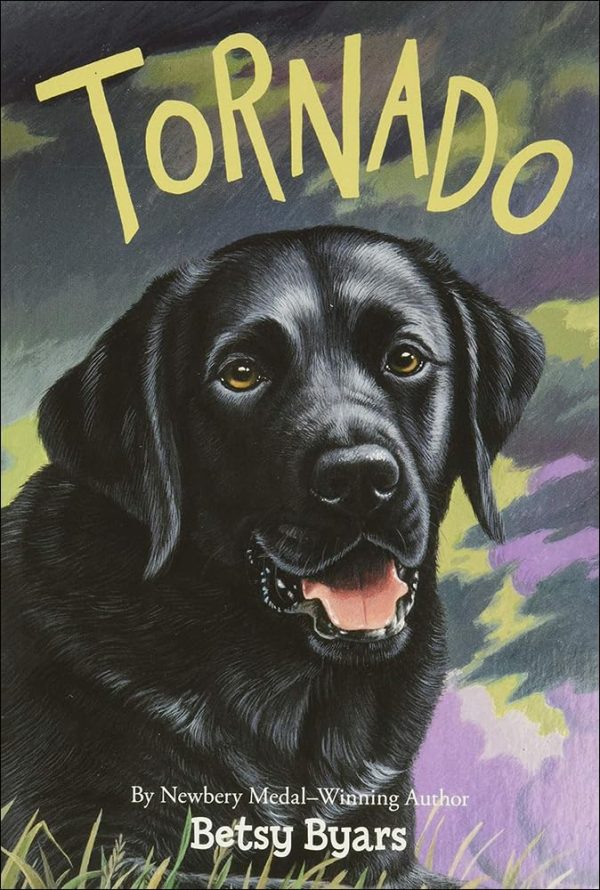 Tornado [School & Library Binding] Byars, Betsy Cromer