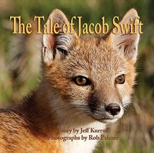 The Tale of Jacob Swift [Hardcover] Kurrus, Jeff and Frink, Teresa