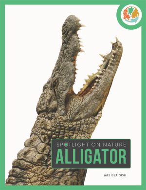 Alligator (Spotlight on Nature) [Library Binding] Gish, Melissa