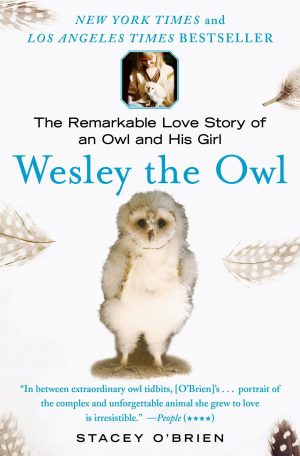 Wesley the Owl: The Remarkable Love Story of an Owl and His Girl [Paperback] O'Brien, Stacey