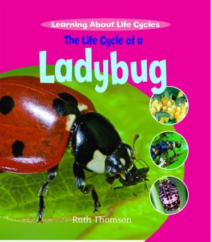 The Life Cycle of a Ladybug (Learning About Life Cycles) Thomson, Ruth
