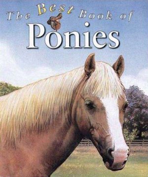 The Best Book of Ponies Budd, Jackie