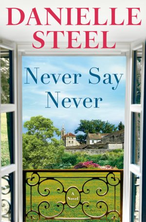 Never Say Never: A Novel [Hardcover] Steel, Danielle