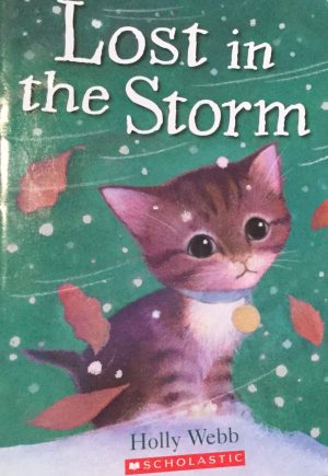 Lost in the Storm [Paperback] Holly Webb