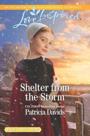 Shelter from the Storm (North Country Amish, 1) Davids, Patricia