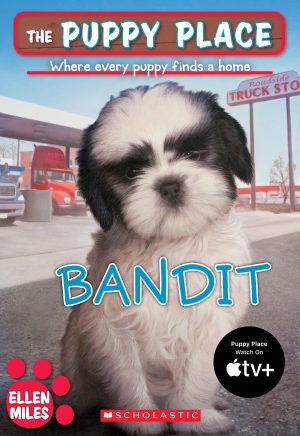 The Puppy Place #24: Bandit [Paperback] Miles, Ellen