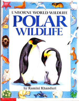 Polar wildlife (Usborne world wildlife) [Paperback] Kamini Khanduri