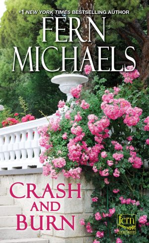 Crash and Burn (Sisterhood) [Mass Market Paperback] Michaels, Fern