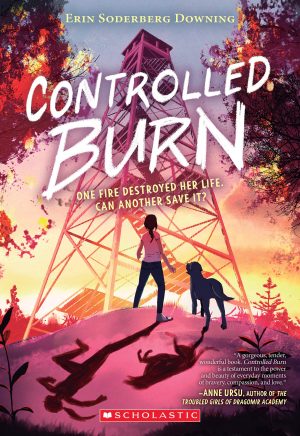 Controlled Burn [Paperback] Downing, Erin Soderberg