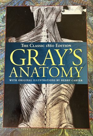 Gray's Anatomy
