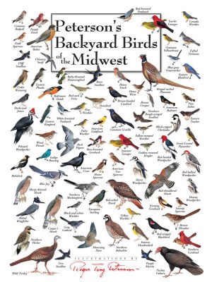 Peterson's Backyard Birds of the Midwest Puzzle (550 Pieces) Heritage Puzzles - Made in USA