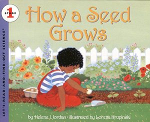 How a Seed Grows (Let's-Read-and-Find-Out Science 1, 1) Jordan, Helene J. and Krupinski, Loretta