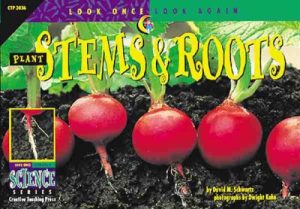 Plant Stems & Roots (Look Once, Look Again Science Series) [Paperback] Schwartz, David M.