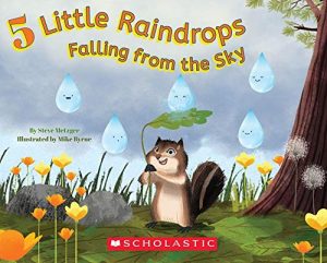5 Little Raindrops Falling from the Sky [Paperback] Metzer, Steve