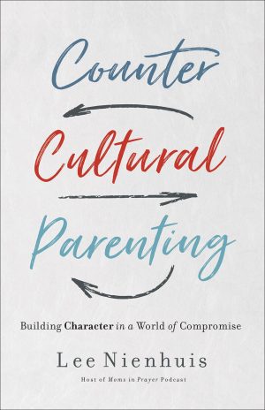 Countercultural Parenting: Building Character in a World of Compromise [Paperback] Nienhuis, Lee