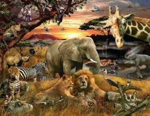 Wild Savannah Puzzle (400 Pieces) SunsOut Puzzles - Made in the USA