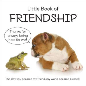 Little Book of Friendship New Seasons and Publications International Ltd.