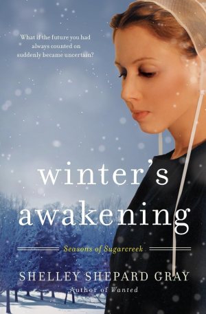 Winter's Awakening: Seasons of Sugarcreek, Book One (Seasons of Sugarcreek, 1) [hardcover] Gray, Shelley Shepard