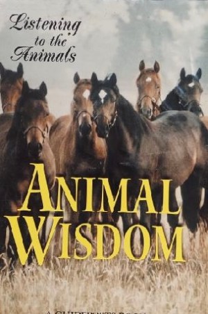 Animal Wisdom--Listening to the Animals [Hardcover] Phyllis Hobe