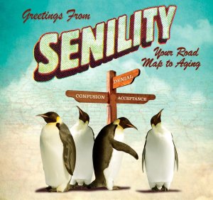 Greetings From Senility Willow Creek Press