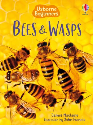 Bees and Wasps (Beginners) [Paperback] Maclaine, James and Francis, John