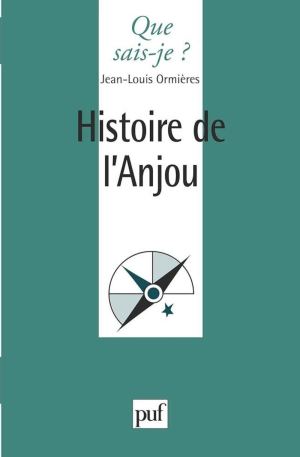 Histoire de l'Anjou Ormières, Jean-Louis