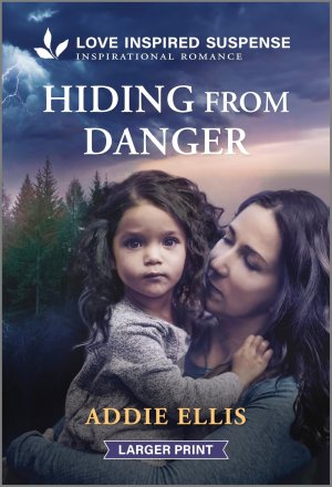 Hiding from Danger [Mass Market Paperback] Ellis, Addie