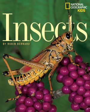 Insects [Paperback] Robin Bernard