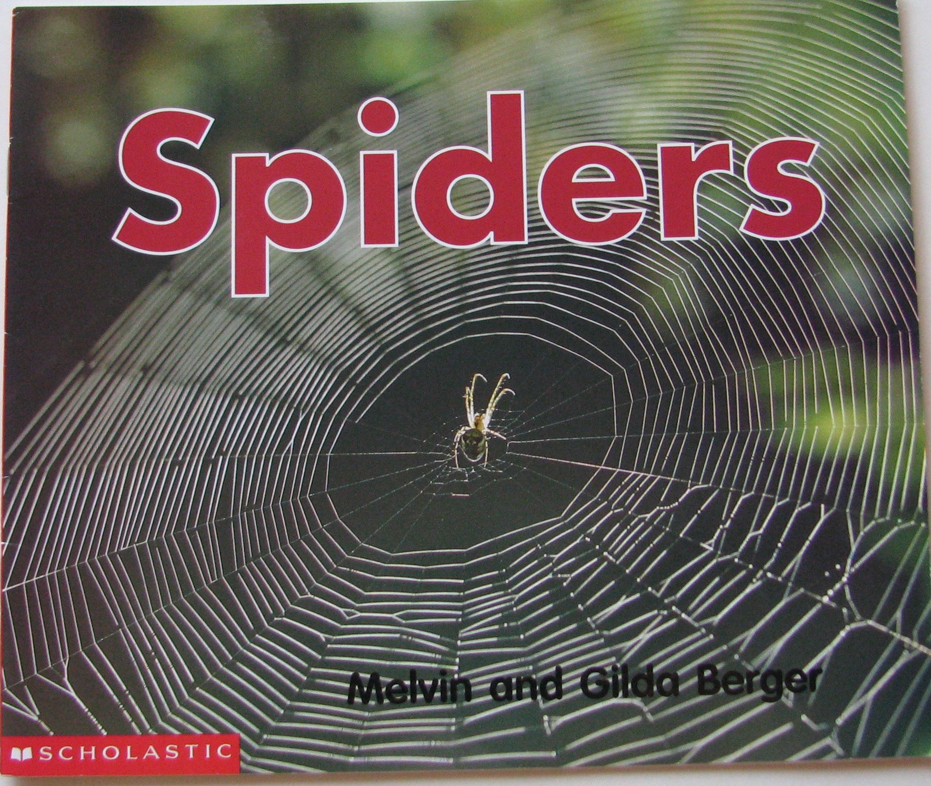 Spiders (Scholastic Time-to-Discover Readers) Melvin Berger