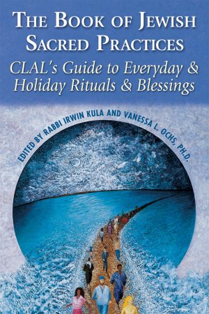 The Book of Jewish Sacred Practices: CLAL's Guide to Everyday & Holiday Rituals & Blessings [Paperback] Kula, Irwin and Ochs, Vanessa L.