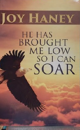 He Has Brought Me Low So I Can Soar [Paperback] Joy Haney