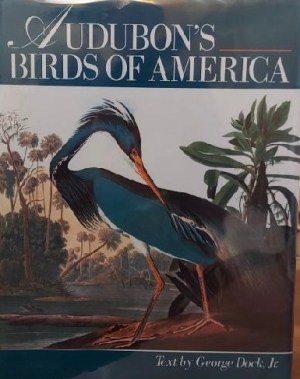 Audubons Birds of America Dock, George