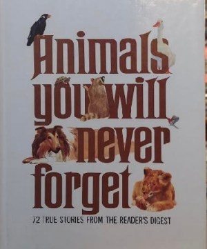 Animals You Will Never Forget Reader's Digest